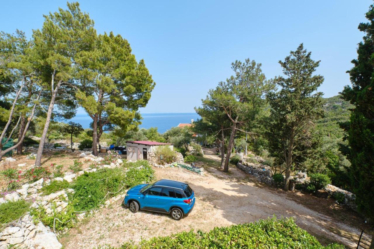 Apartments With A Parking Space Cunski, Losinj - 7867 Dış mekan fotoğraf